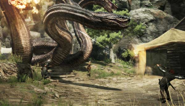 dragons dogma juego