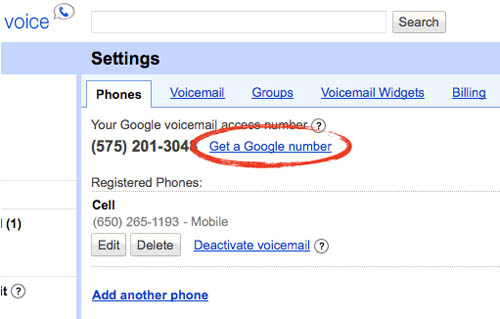 google voice