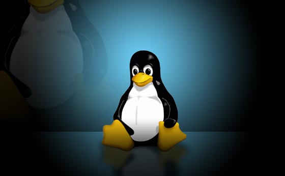 linux pc