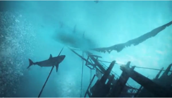 tiburones assassins creed 4 black flag