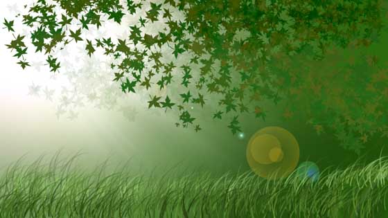 Tutorial-Photoshop: Crear bosque con Photoshop