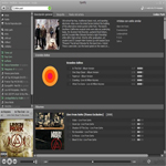 Imagen de Spotify Portable 0.3.18