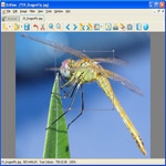 Imagen de XnView Slide Video Plugin