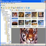 Imagen de ZIP plugin XnView